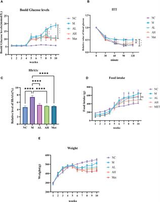 Allicin modulates the intestinal microbiota to attenuate blood glucose and systemic inflammation in type 2 diabetic rats